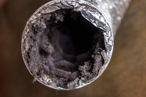 Best Air Duct Sanitizing Services  in La Croft, OH